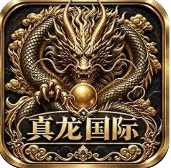 真龙国际