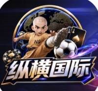 纵横国际